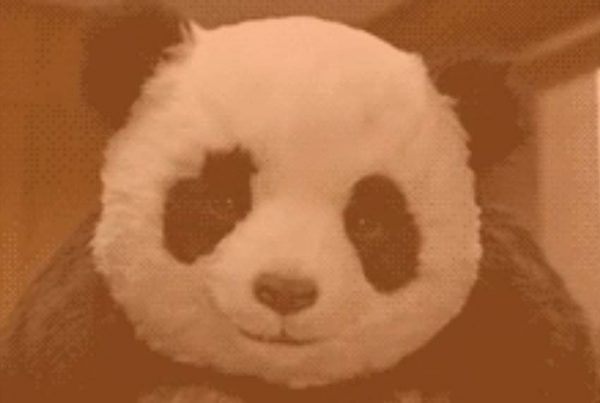 Traffic Chaos! Google & Facebook Changes Wreak Havoc On Business panda 4 » September 17, 2020