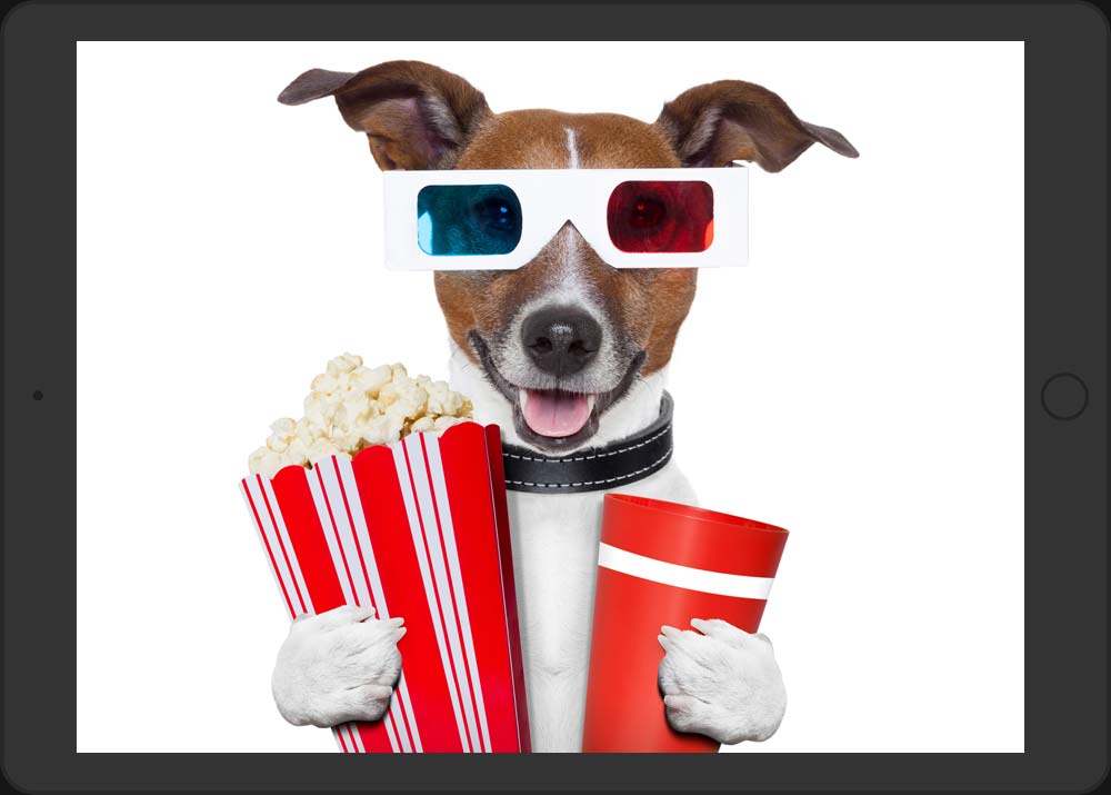 video marketing dog with popcorn and soda