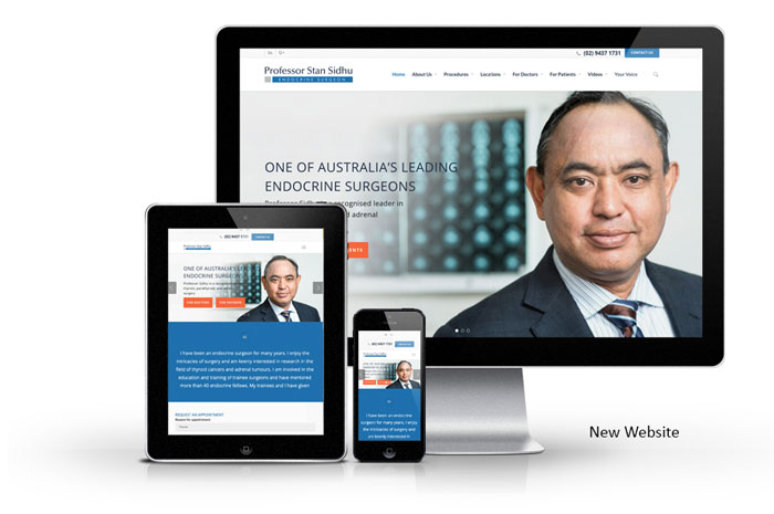 New Website Design for Professor Sidhu